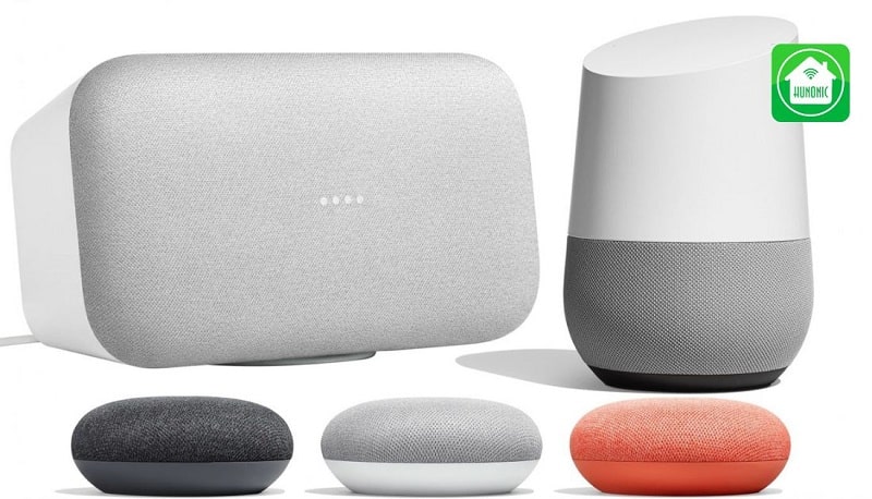 Google Home lần đầu được phát hành vào ngày 4 tháng 11 năm 2016 tại Mỹ